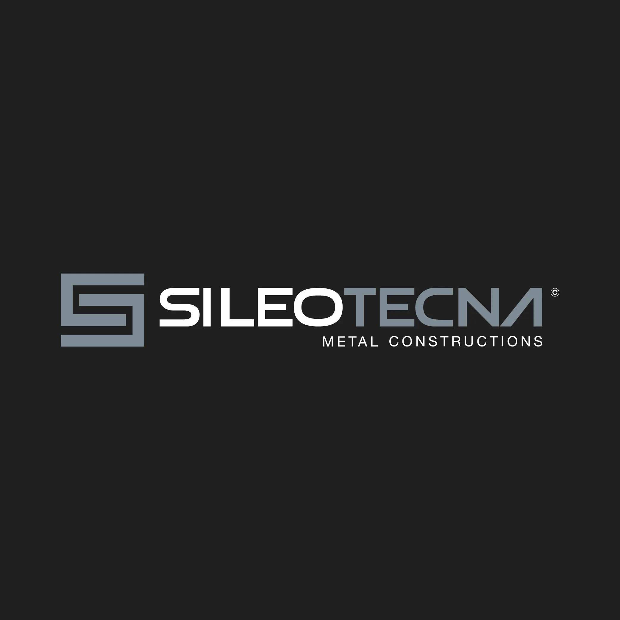 Logo e Identità Visiva
