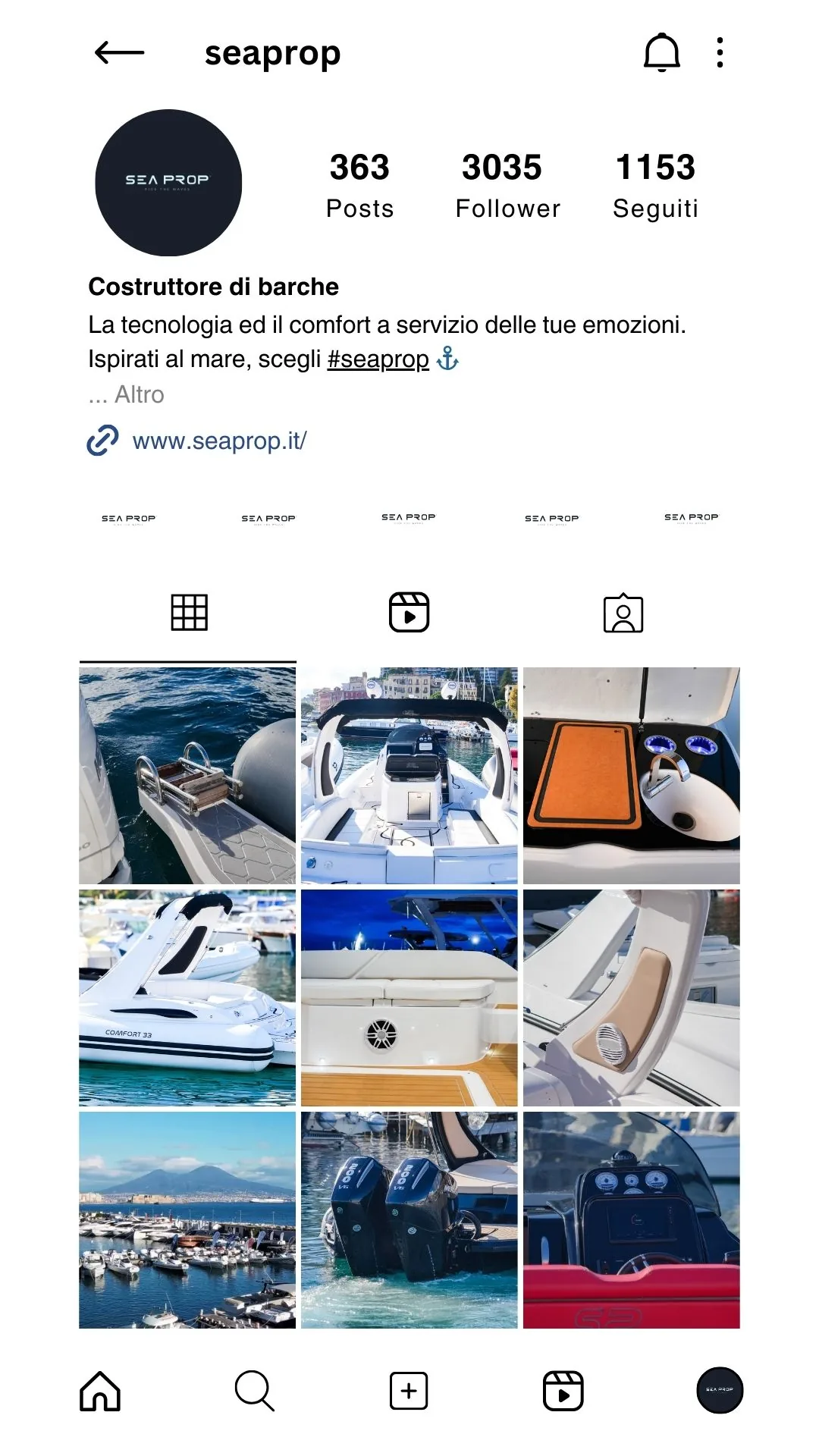 Gestione Social